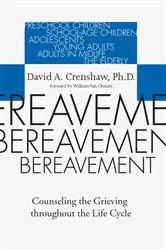 Book cover of Bereavement by Donna Infeld