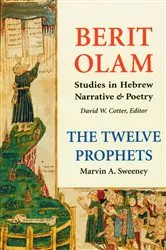 Book cover of Berit Olam: The Twelve Prophets by Marvin   A. Sweeney