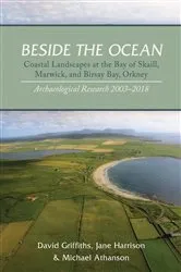 Book cover of Beside the Ocean by David Griffiths