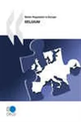 Book cover of Better Regulation in Europe: Belgium 2010 by OECD Publishing