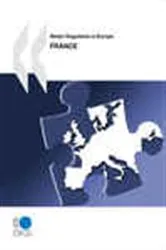 Book cover of Better Regulation in Europe: France 2010 by OECD Publishing