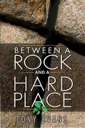 Book cover of Between a Rock and a Hard Place by Robert Storr