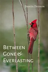 Book cover of Between Gone and Everlasting by Danita Dodson