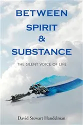 Book cover of Between Spirit and Substance by David Stewart Handelman