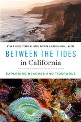 Book cover of Between the Tides in California by Ryan P. Kelly