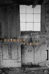 Book cover of Between the Walls by Paul Vermeersch