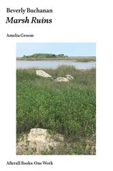 Book cover of Beverly Buchanan by Amelia Groom