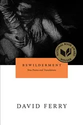 Book cover of Bewilderment by Don Gutteridge