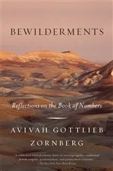 Book cover of Bewilderments by Unknown
