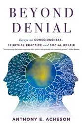 Book cover of Beyond Denial by Anthony E. Acheson