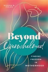 Book cover of Beyond Overwhelmed by Wisdom Fields