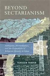 Book cover of Beyond Sectarianism by Tehseen Thaver