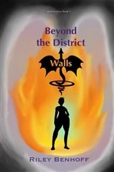 Book cover of Beyond the District Walls by Riley Benhoff