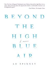 Book cover of Beyond the High Blue Air by Unknown
