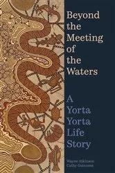 Book cover of Beyond the Meeting of the Waters by Wayne Atkinson