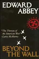 Book cover of Beyond the Wall by James Lowder
