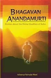 Book cover of Bhagavan Anandamurti by Paul Narada Alister