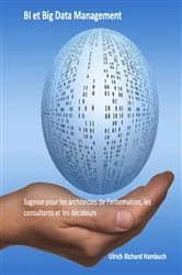 Book cover of BI et Big Data Management by Ulrich Richard Hambuch