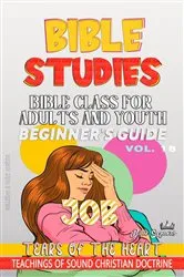 Book cover of Bible Class for Adults and Youth: Beginner's Guide by Guillermo Doris McBride
