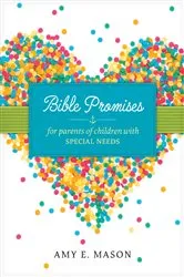 Book cover of Bible Promises for Parents of Children with Special Needs by Amy E. Mason