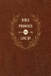 Book cover of Bible Promises to Live By by Amy Mason
