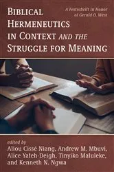 Book cover of Biblical Hermeneutics in Context and the Struggle for Meaning by Aliou Cissé Niang