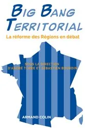Book cover of Big Bang Territorial by André Torre