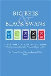 Book cover of Big Bets and Black Swans 2014 by Ted Piccone