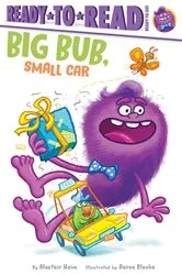Book cover of Big Bub, Small Car by Alastair Heim