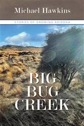 Book cover of Big Bug Creek by Michael Hawkins