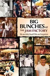 Book cover of Big Bunches At The Jam Factory by Unknown