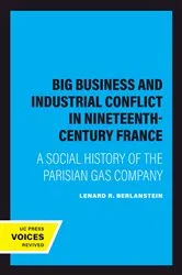 Book cover of Big Business and Industrial Conflict in Nineteenth-Century France by Lenard R. Berlanstein