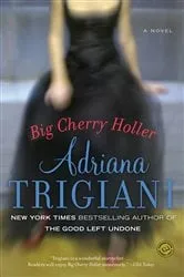 Book cover of Big Cherry Holler by Adriana Trigiani