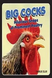 Book cover of Big Cocks by Charlie Ellis