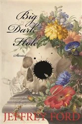 Book cover of Big Dark Hole by Ford Jeffrey