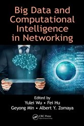 Book cover of Big Data and Computational Intelligence in Networking by Yulei Wu