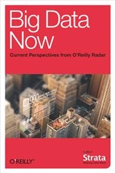 Book cover of Big Data Now: Current Perspectives from O'Reilly Radar by O'Reilly Radar Team