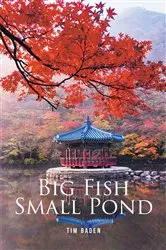 Book cover of Big Fish Small Pond by Unknown