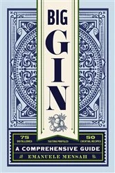 Book cover of Big Gin by Emanuele Mensah