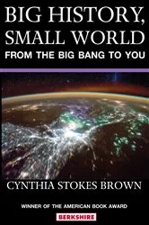 Book cover of Big History, Small World by Cynthia Stokes Brown