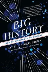 Book cover of Big History by Cynthia Stokes Brown