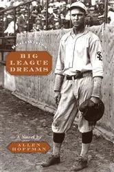 Book cover of Big League Dreams by Allen Hoffman