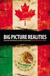Book cover of Big Picture Realities by Daniel Drache