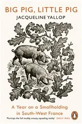 Book cover of Big Pig, Little Pig by Unknown
