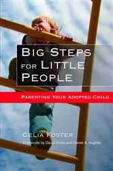 Book cover of Big Steps for Little People by Daniel Hughes