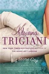 Book cover of Big Stone Gap by Adriana Trigiani