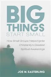 Book cover of Big Things Start Small by Joe M. Easterling