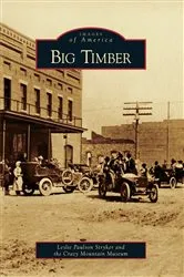 Book cover of Big Timber by Leslie Paulson Stryker
