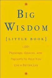 Book cover of Big Wisdom (Little Book) by Thomas Nelson