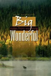 Book cover of Big Wonderful by Kevin Holdsworth